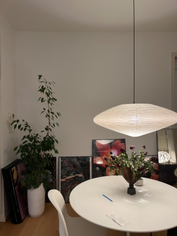 Hænge 15 rammer op i lejlighed