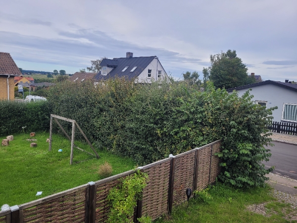 Klippet/beskåret 1 meter ca af min hæk.