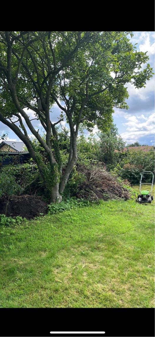 Køre haveaffald på losseplads