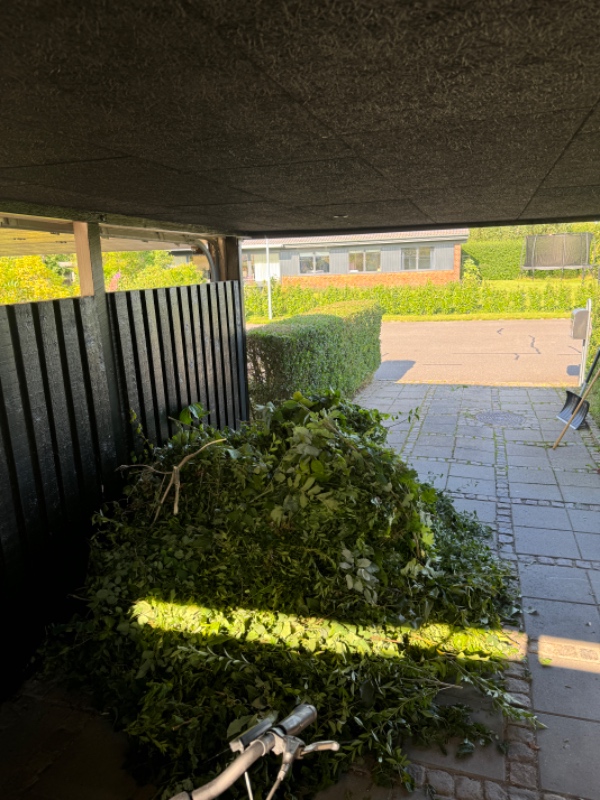 Afhentning af haveaffald fra hækkeklipning
