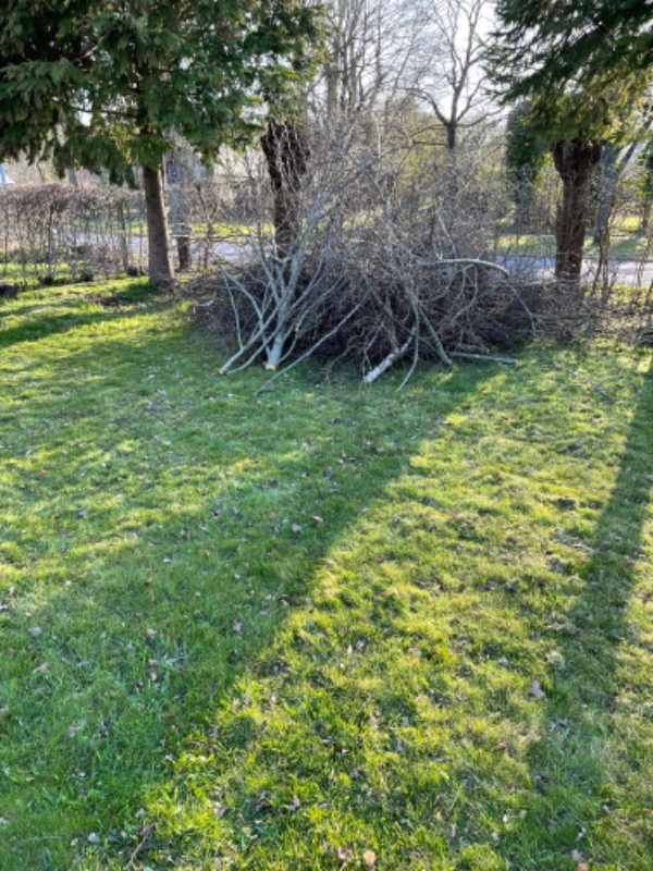 Afhentning af grene og træer