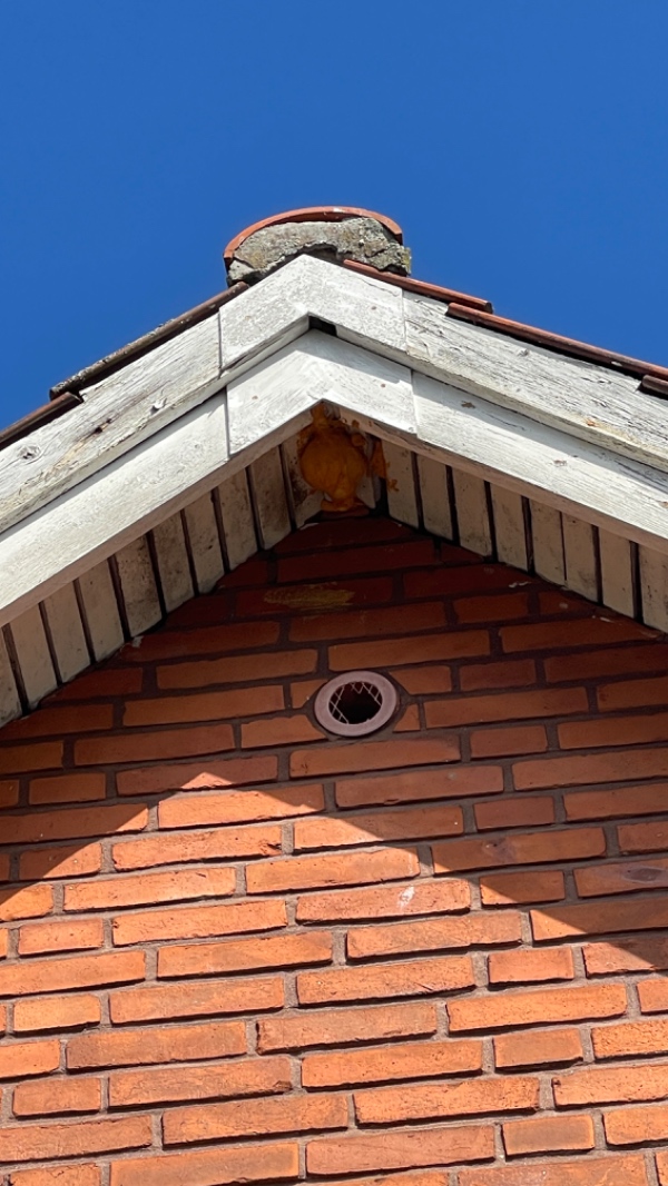 Udskiftet ventilationsnet og sat pigge på en tagsten ca 5 meter oppe