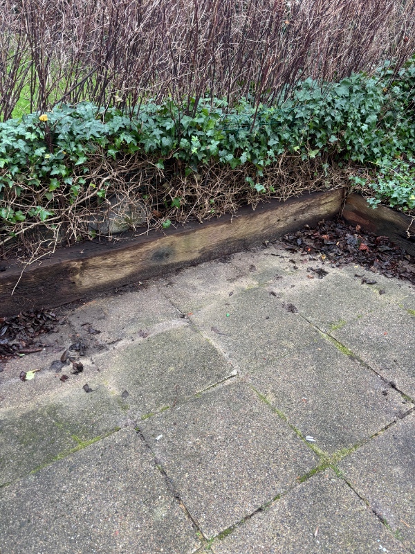 Genbrugsplads og fjernelse af brædder i have