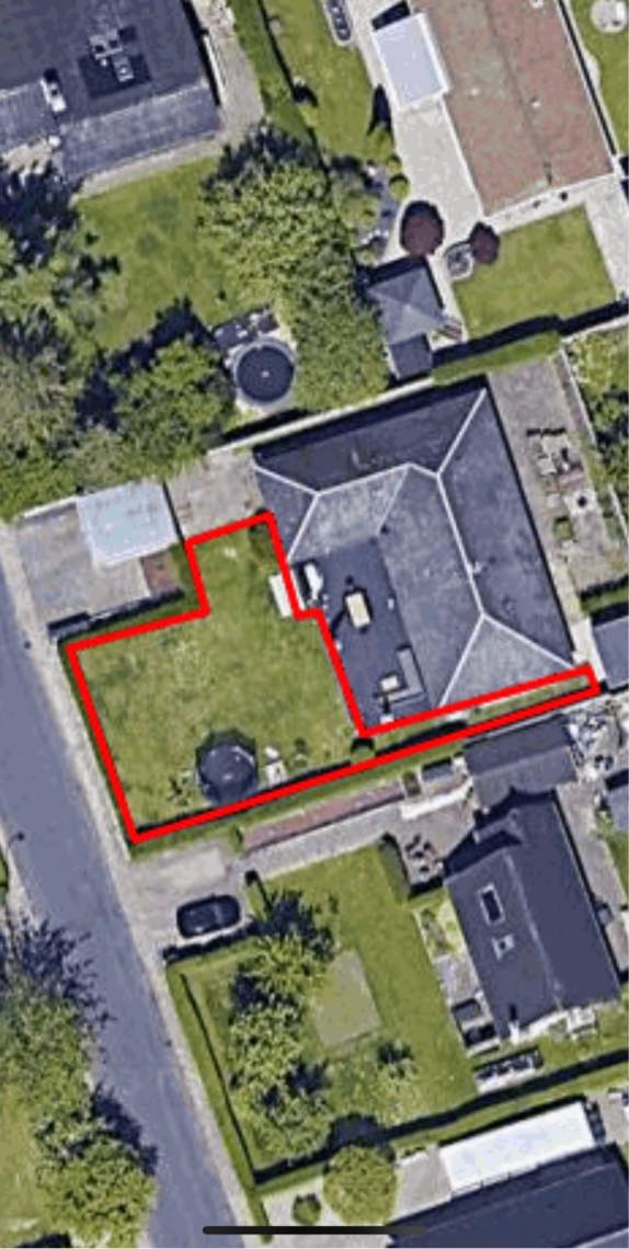 Vertikalskære/fjerne mos på græsplanen + fjerne gran-busk