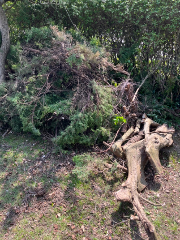 Bortførsel af have affald