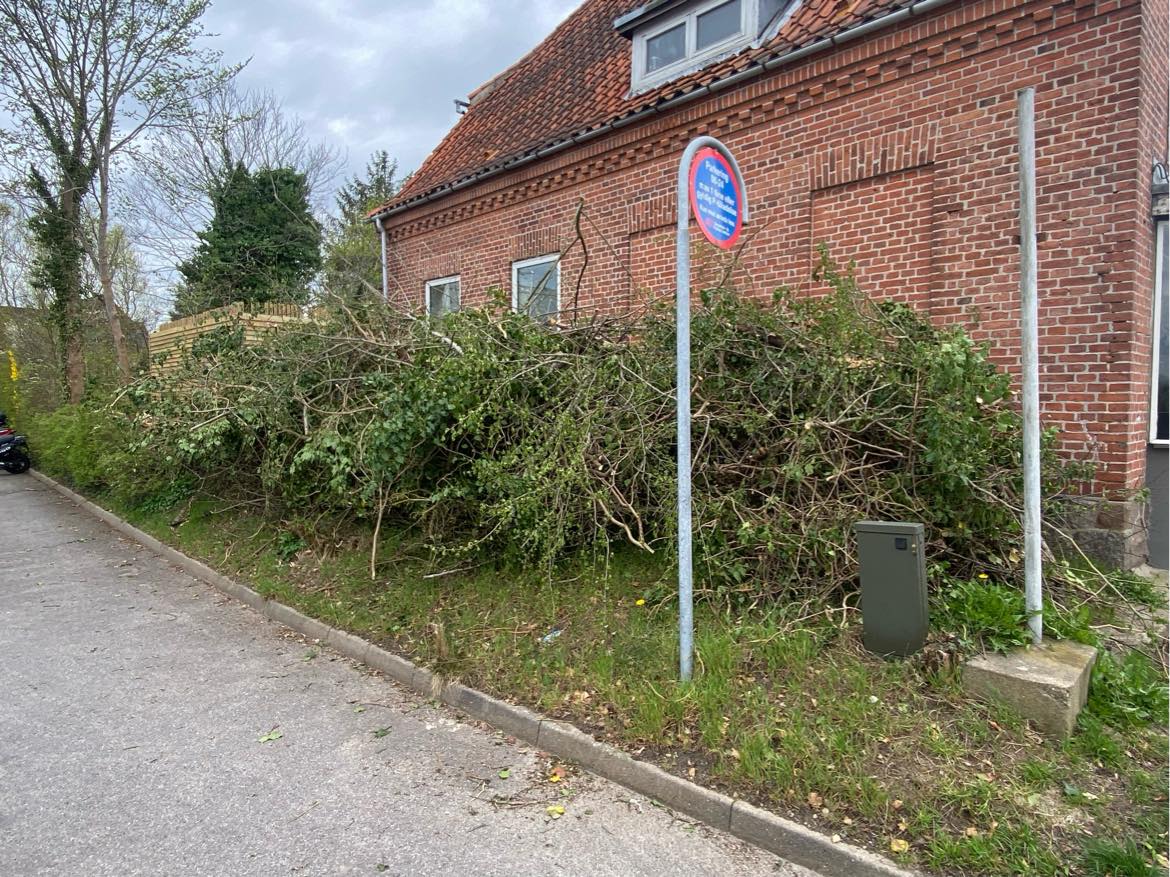 Bortkørsel af træ og grene