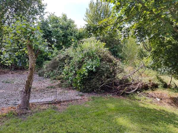 Afhentning af træaffald