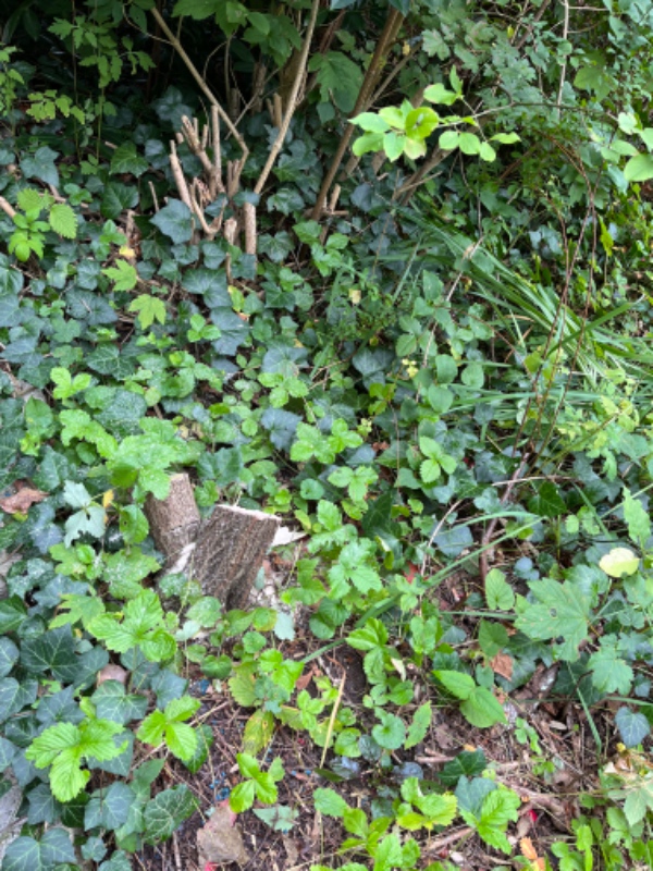 Fjerne/fræse rødder efter buske og træer (1-2 stk)