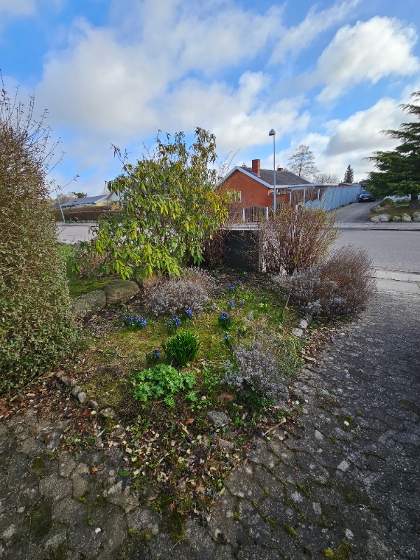 Fjernelse af bed og stenlægning