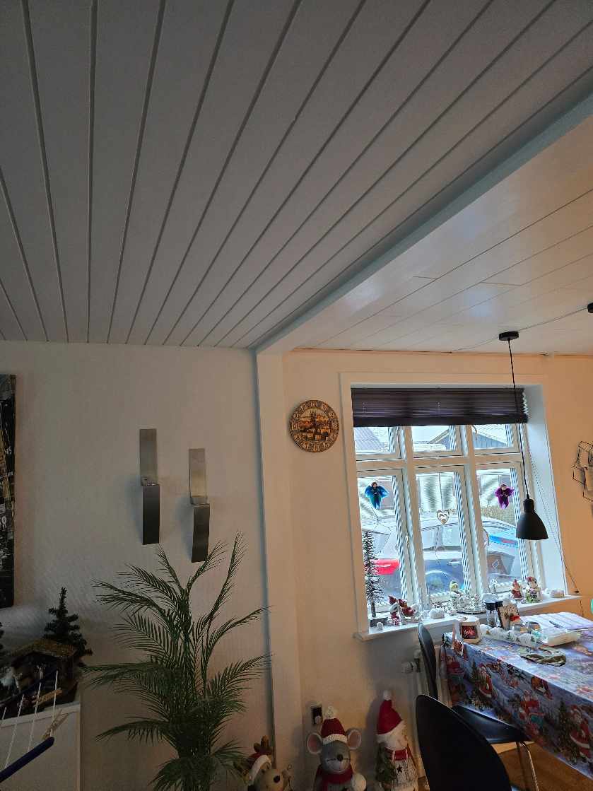 Opsætning af Internet kabel - LAN kabel