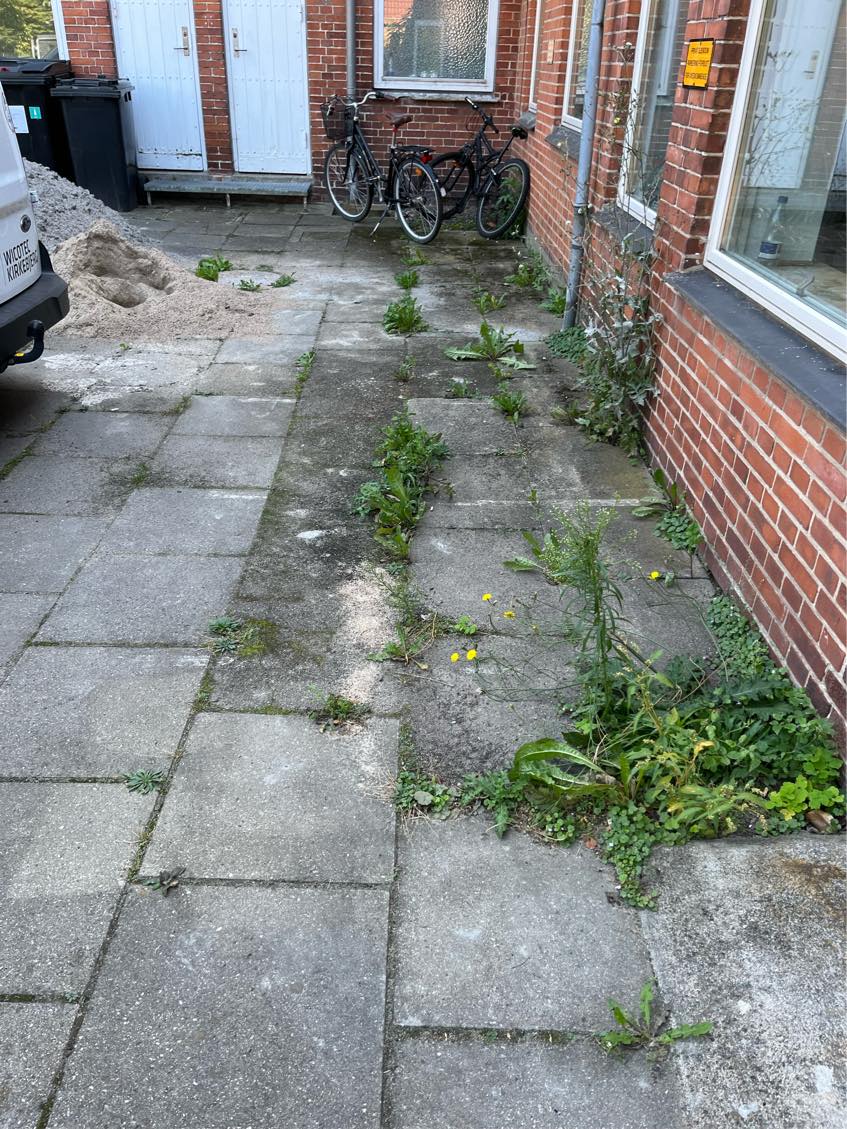 Fjernelse af ukrudt og buske