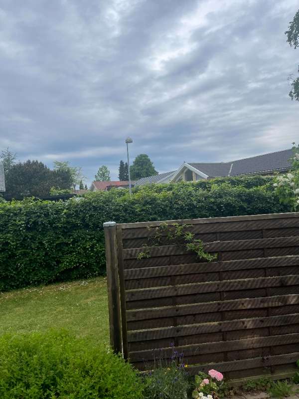 Hækklipning omkring hus