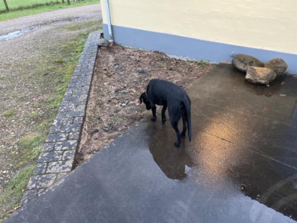 Udfyldning af gamle bede med beton